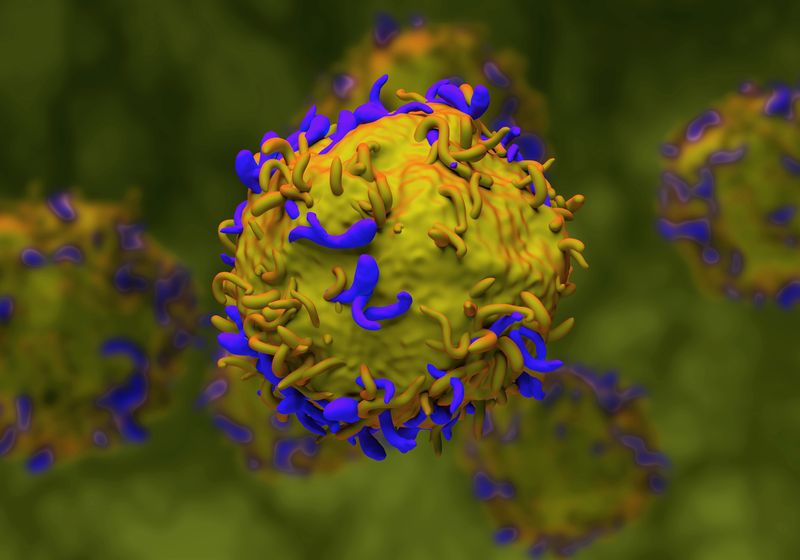 O estudo confirma a segurança de células T geneticamente modificadas