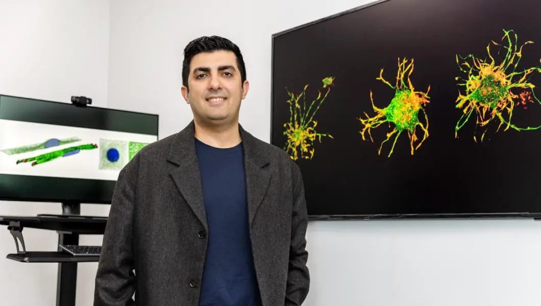 Revelando as forças biomecânicas que levam a cicatrizes
