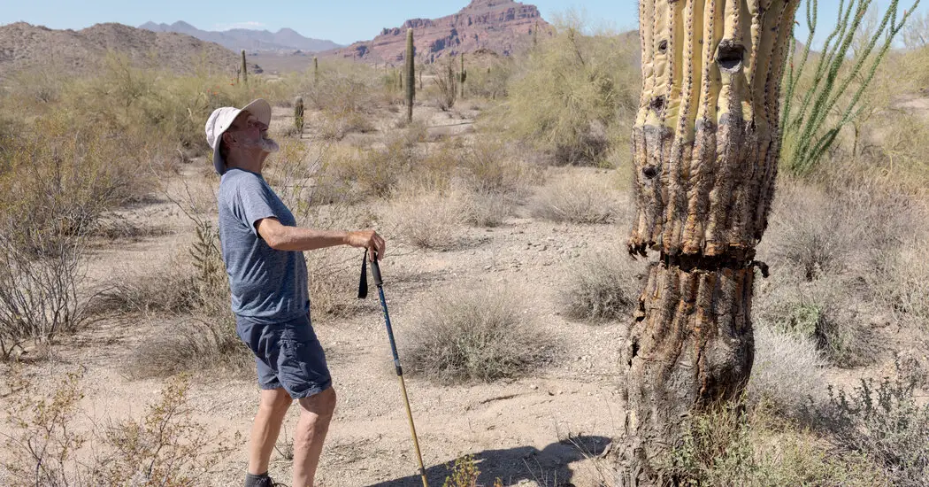 Gerente do Ano: uma busca de um homem para salvar o deserto de Sonoran