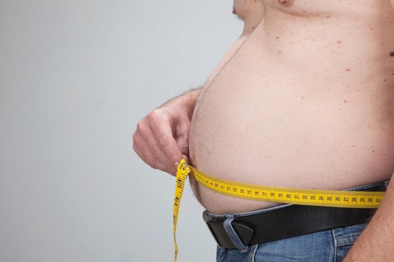 Os cientistas descobrem a gordura da barriga “gatilho” nos corpos envelhecidos