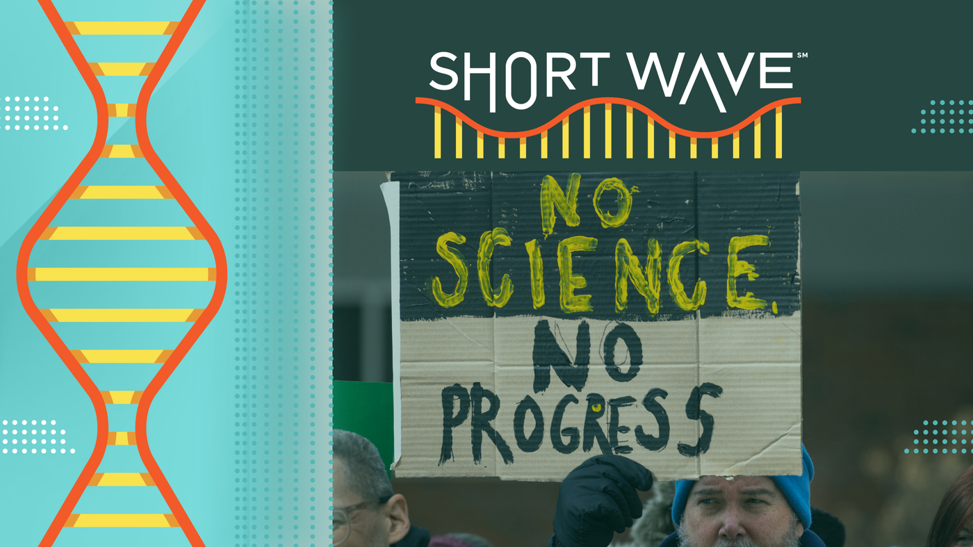 Os cortes de Trump estão levando alguns cientistas a nos deixar: onda curta: NPR