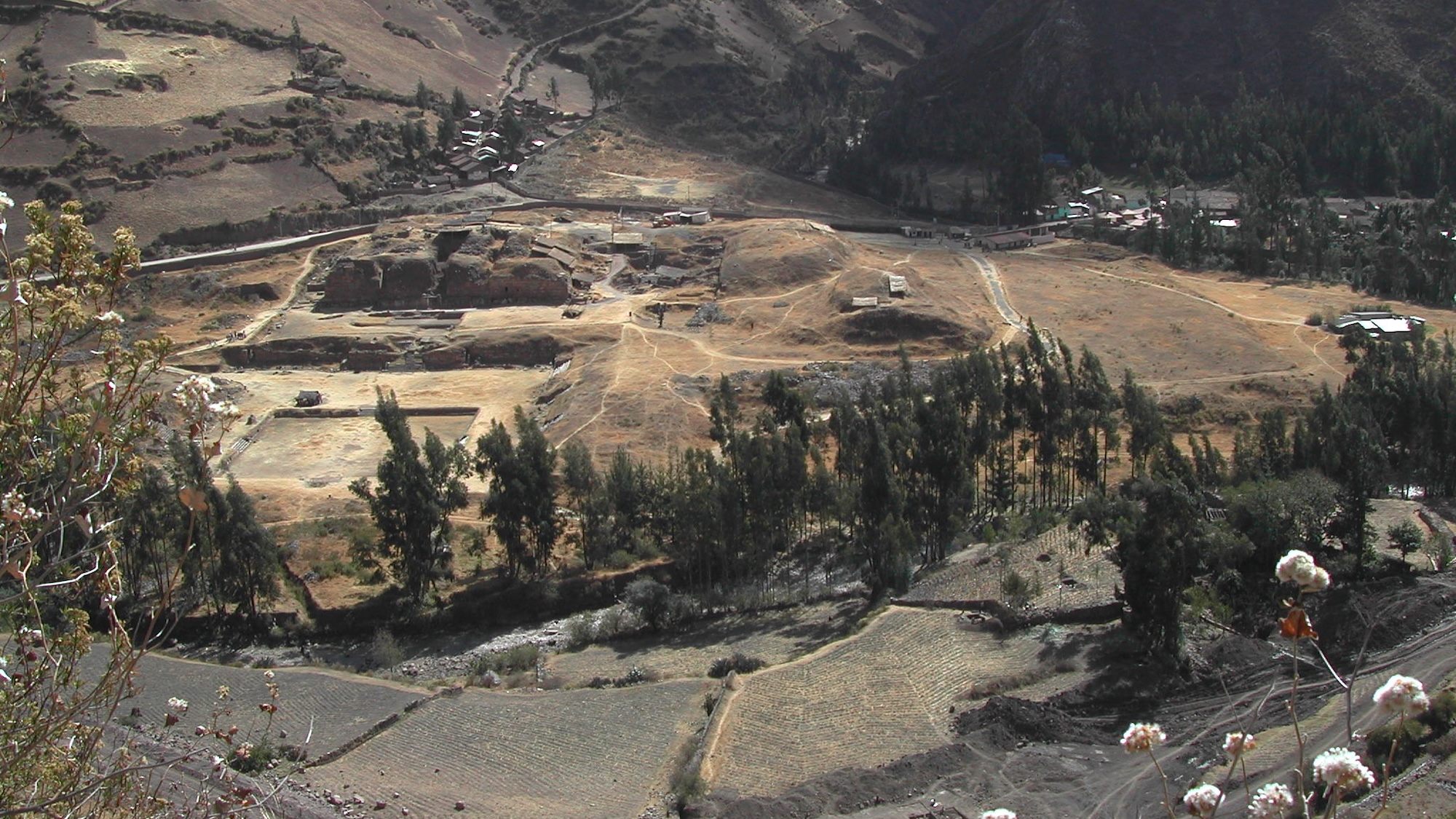 Rituais alucinogênicos pesados ​​solidificaram castas sociais em pré-Incan Peru